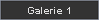 Galerie 1