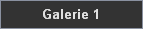 Galerie 1