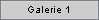 Galerie 1