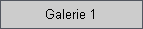Galerie 1